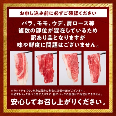 【訳あり】くまもと黒毛和牛 切り落とし 合計500g (250g×2パック)_233-7006