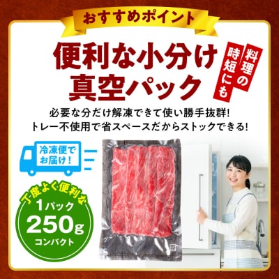 【訳あり】くまもと黒毛和牛 切り落とし 合計500g (250g×2パック)_233-7006