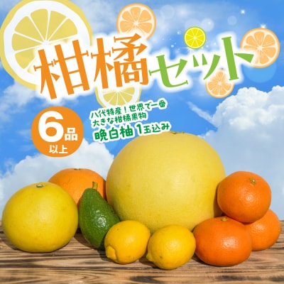 【先行予約】 柑橘セット 晩白柚1玉込み 【2026年12月上旬より順次発送】_201-4256-D
