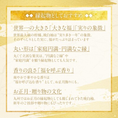 先行予約 年末届 やつしろ縁起物セット晩白柚入【2026年12月中旬～順次発送】201-6602-A