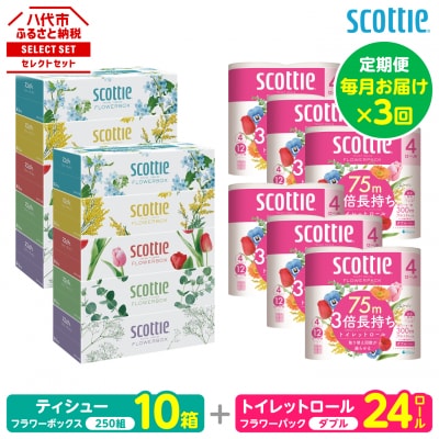【毎月定期便】ティッシュ10箱+トイレットペーパーダブル24ロールスコッティ全3回_186-6576