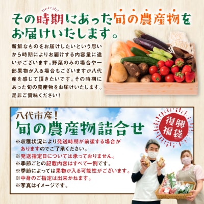 【定期便6回】【2ヶ月に1回お届け】八代市産!旬の農産物詰合せ 福袋 7品以上_065-5047-A