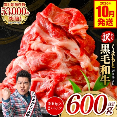 【訳あり】 くまもと黒毛和牛 切り落とし 600g 2026年10月発送_067-6064-10-A