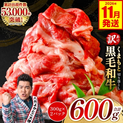 【訳あり】 くまもと黒毛和牛 切り落とし 600g 2026年11月発送_067-6064-11-A