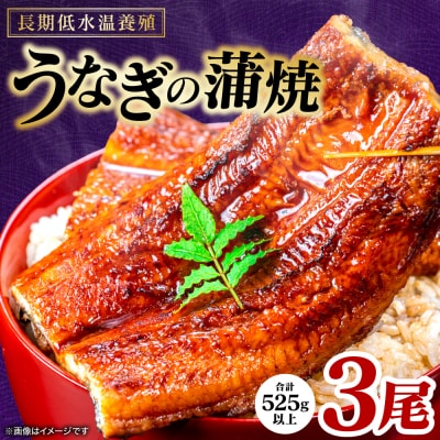 【先行予約】うなぎの蒲焼 3尾 合計525g以上【2026年9月中旬より順次発送】_308-7164