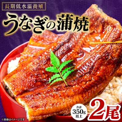 【先行予約】うなぎの蒲焼 2尾 合計350g以上【2026年9月中旬より順次発送】_308-7163