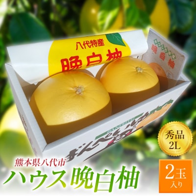 先行予約 ハウス晩白柚 秀品2Lサイズ2玉入 2026年12月中旬より順次発送_251-6454-B
