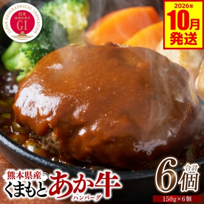 GI認証 くまもとあか牛ハンバーグ 6個 2026年10月発送_229-6705-10