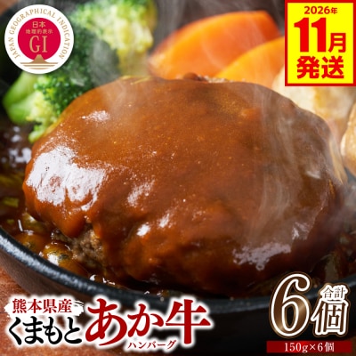 GI認証 くまもとあか牛ハンバーグ 6個 2026年11月発送_229-6705-11