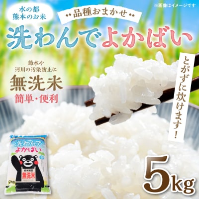 《令和7年産》 洗わんでよかばい 5kg 米 お米 精米 無洗米_149-3144-E