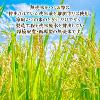 《令和7年産》 洗わんでよかばい 5kg 米 お米 精米 無洗米_149-3144-E