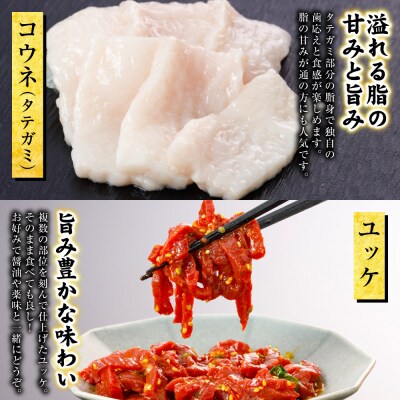 国産馬刺し4種計280g(上赤身 ユッケ各100g フタエゴ50g コウネ30g)_306-7016