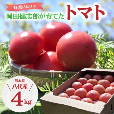 【先行予約】 野菜ソムリエ岡田健志郎が育てたトマト4kg_075-6233-A