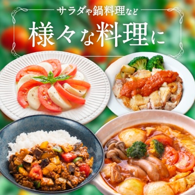 【先行予約】 野菜ソムリエ岡田健志郎が育てたトマト4kg_075-6233-A