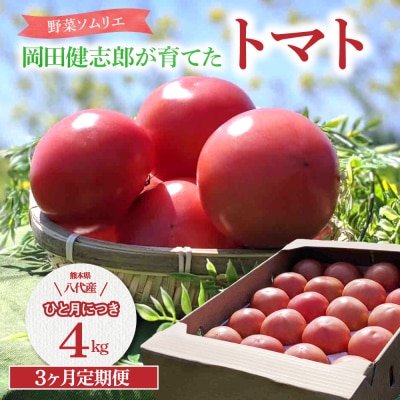 【先行予約】定期便3回 野菜ソムリエ岡田健志郎が育てた トマト 4kg_075-6234-A