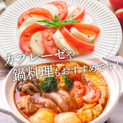 【先行予約】定期便3回 野菜ソムリエ岡田健志郎が育てた トマト 4kg_075-6234-A