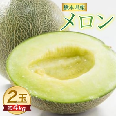 【先行予約】 熊本県 八代市産 肥後グリーン 約4kg (2玉入)_191-4400-D