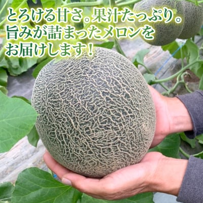 【先行予約】 熊本県 八代市産 肥後グリーン 約4kg (2玉入)_191-4400-D
