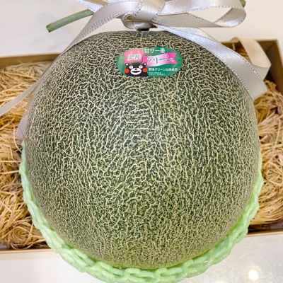 【先行予約】 熊本県 八代市産 肥後グリーン 約4kg (2玉入)_191-4400-D
