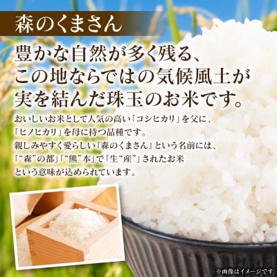 《令和7年産》 森のくまさん 5kg × 1袋 米 お米 精米 白米 _311-7180