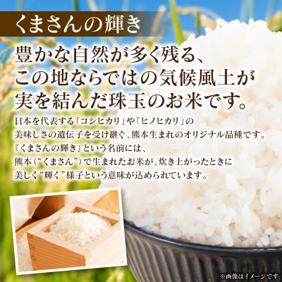 《令和7年産》 くまさんの輝き 5kg × 1袋 米 お米 精米 白米_311-7181