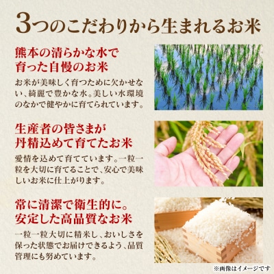 《令和7年産》 くまさんの輝き 5kg × 1袋 米 お米 精米 白米_311-7181