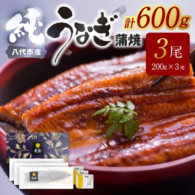 【先行予約】 うなぎ蒲焼3尾セット(200g×3尾)合計600g たれ・山椒付き_309-7174