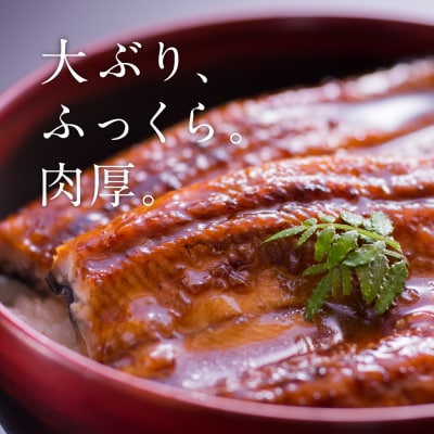 【先行予約】 うなぎ蒲焼3尾セット(200g×3尾)合計600g たれ・山椒付き_309-7174
