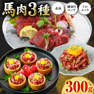 馬肉 3種300g (赤身100g、トロユッケ100g、細切りユッケ100g)_306-6830