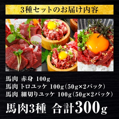 馬肉 3種300g (赤身100g、トロユッケ100g、細切りユッケ100g)_306-6830