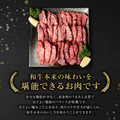 【GI認証】 くまもとあか牛 焼肉用 500g 【2026年12月発送】_289-7019-12