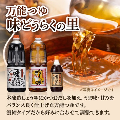 万能つゆ 味どうらくの里 500ml×10本【東北醤油】 ペットボトル|22_dkb-101001