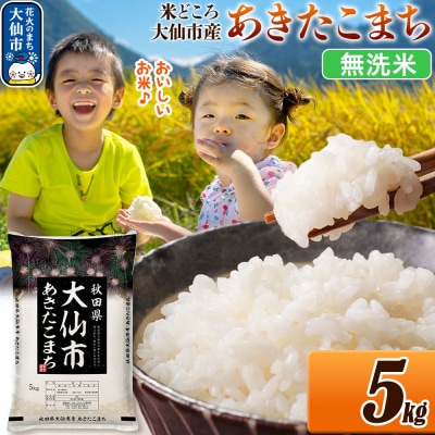 米 あきたこまち【無洗米】 令和7年産 5kg|22_ssn-030501