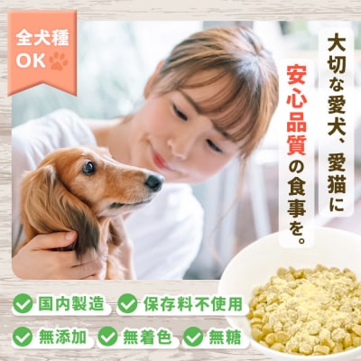 犬猫用 まぜまぜ納豆パウダー 45g×4個(レギュラーサイズ) ペット|22_trp-010401