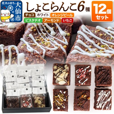 しょこらんこ12個セット[6種詰め合わせ]ブラウニー|22_ywr-141201