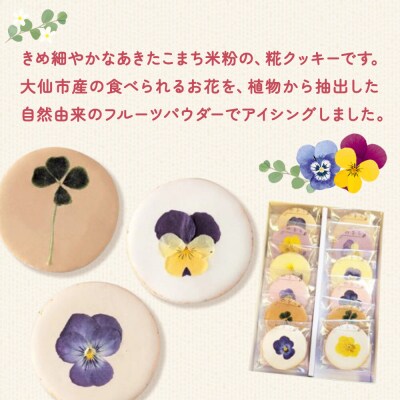 米粉と糀のエディブルフラワークッキー 12枚|22_ywr-191201