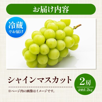 シャインマスカット 2房(合計約1.2kg以上) 神岡縄文農園産|22_kjn-010201