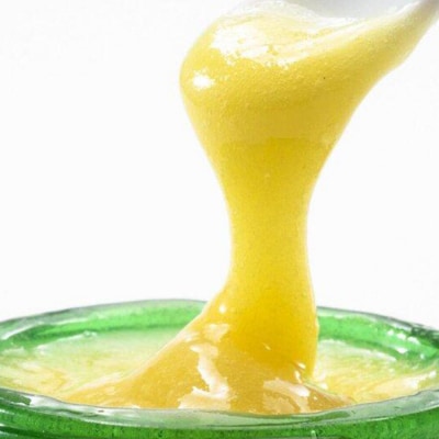 黄金王乳 調整ローヤルゼリー R555(S) 80g|22_rsm-080101