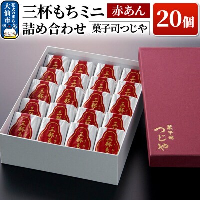 三杯もちミニ(赤あん)  20個 詰め合わせ 【菓子司つじや】|22_dkb-600101