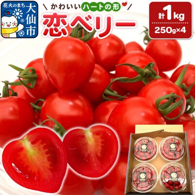 秋田県産ミニトマト「恋ベリー」1kg(250g×4)ギフトBOX|22_anh-020101