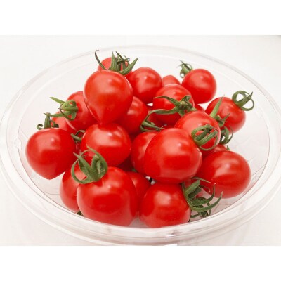 秋田県産ミニトマト「恋ベリー」1kg(250g×4)ギフトBOX|22_anh-020101