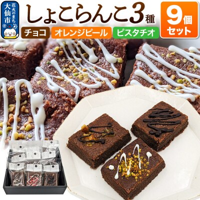しょこらんこ9個セット[3種詰め合わせ]ブラウニー|22_ywr-130901