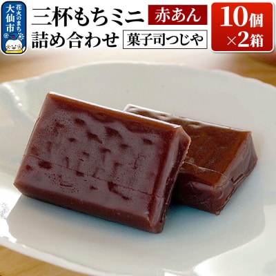 三杯もちミニ(赤あん) 10個 詰め合わせ×2箱【菓子司つじや】|22_dkb-320201