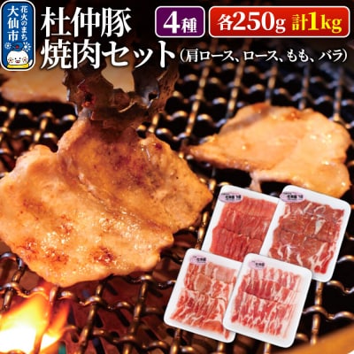 杜仲豚 焼肉セット 4種 計1kg (肩ロース、ロース、もも、バラ)|22_bns-050101