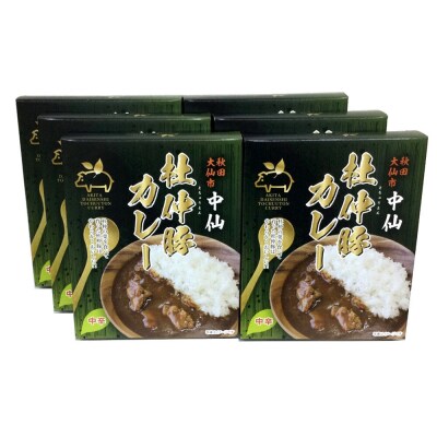 杜仲豚カレー 中辛 6食セット【物産中仙】|22_bns-090601