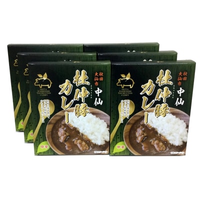 カレー 中仙の杜仲豚カレー 中辛 6食 セット 物産中仙|22_bns-090601