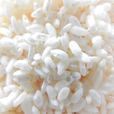 発酵あずき2個セット[きたろまん ペースト]|22_ywr-010201