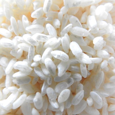 発酵あずき2個セット[特選雅・きたろまん ペースト]|22_ywr-080201