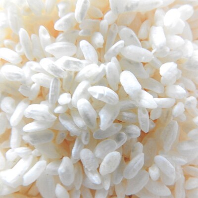 発酵あずき2個セット[特選雅 粒]140g×各1|22_ywr-050201