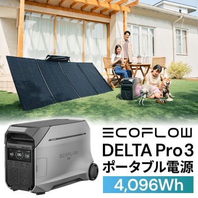 EcoFlow ポータブル電源(容量4,096Wh)DELTA|22_etj-010101